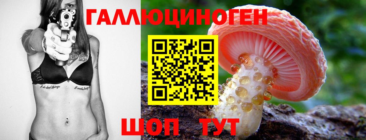 Фурманов  Псилоцибиновые грибы мицелий  Вход с VPN  Галлюциногенные грибы MAGIC MUSHROOMS 